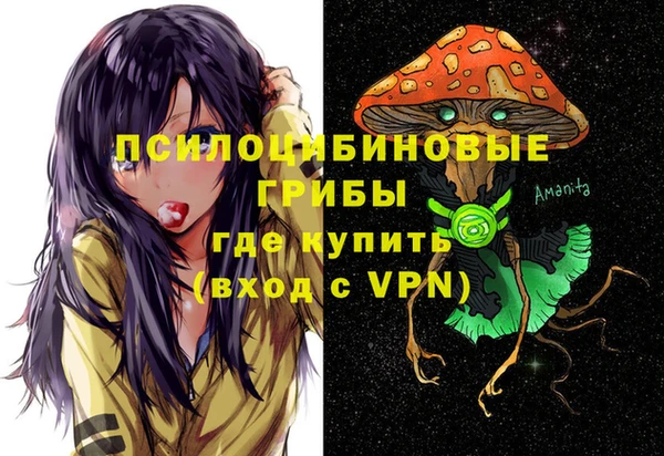 2c-b Алексин