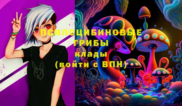 хмурый Алексеевка