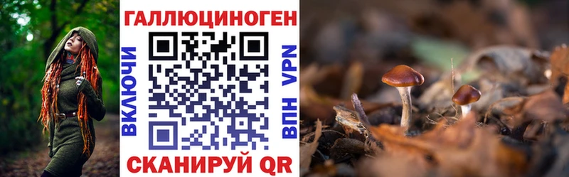 Псилоцибиновые грибы мицелий  наркота  Гусь-Хрустальный 